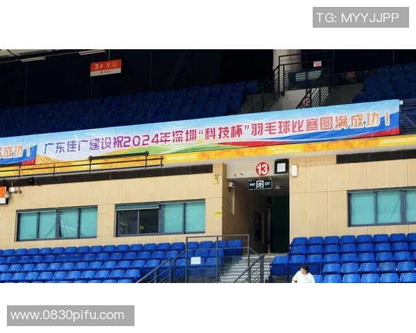 深圳羽毛球队实力解析:从训练到比赛的全面剖析与展望